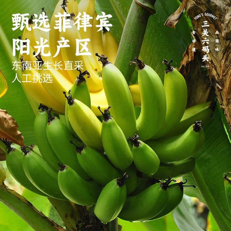 【中国直送】三冠六麻頭産バナナチップス、乾燥バナナフルーツクリスプ、保存フルーツ、スナック、240g 5