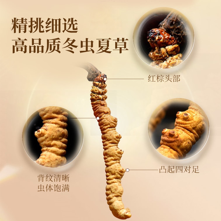 Premium Hand-Selected Cordyceps Sinensis – 4g Gift Box, Simulated Wild Environment, No Pesticides or Heavy Metals, Large Strips – Boosts Energy, Kidney & Lung Health, Immunity – Ideal Gift for Holiday 3