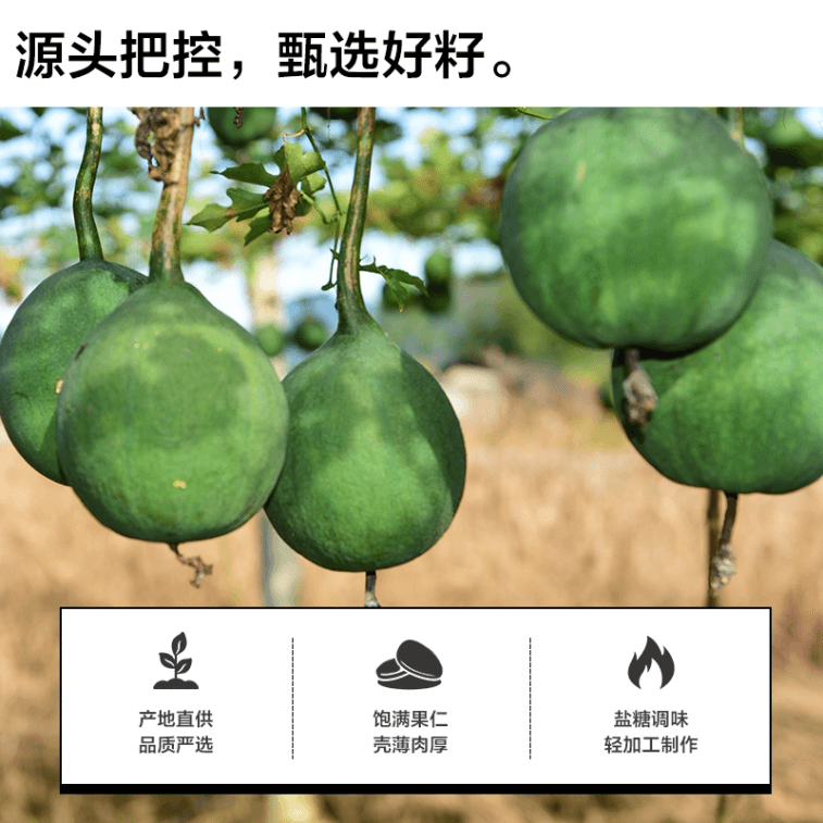 【中国直邮】 来伊份 瓜蒌籽休闲零食炒货瓜子葵花子吊瓜子坚果炒货250g*1袋 3