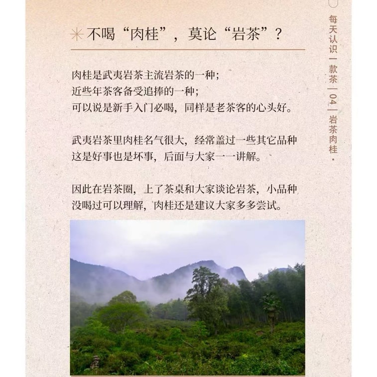 Cinnamon Tea 【Wuyi Rock Oolong Tea】Rougui Cinnamon Aroma 126g 18pcs  Fruity Aroma Yancha Regulates Blood Sugar Promotes Digestion Anti-inflammatory Anti-Fatty Wellness Tea Fruit Tea Herbal Tea 3