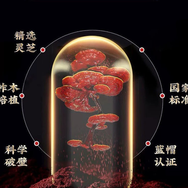 Reishi Mushroom Spore Capsules  - Immune System Booster 60 Capsules 7
