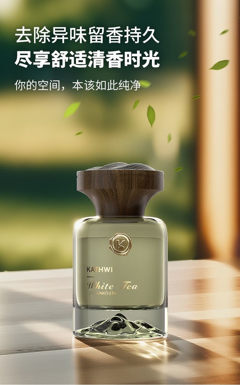 【中國直郵】 科淨威 陳小春推薦 觀山車載香水 120ml烏木沉香