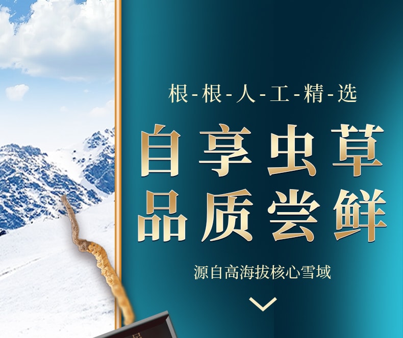  北京同仁堂 西藏道地冬蟲夏草1g 西藏頭期蟲草乾貨滋補補腎潤肺壯陽止咳化痰【手工甄選海拔4500的優質原料 蟲草飽滿色澤金黃】
