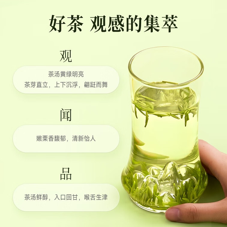 [중국 직배송] 주야칭 녹차, 어메이산 최고급, 45g, 2026년 봄차, 청명절 전차, 티백 5