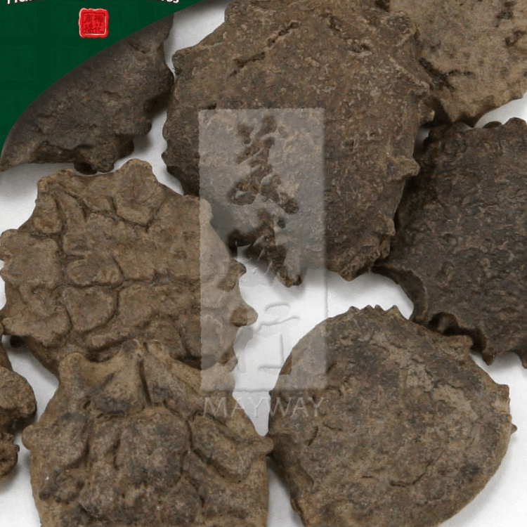 Meihua ブランド ウッド カメの種子、未硫化ウッド カメの種子 500