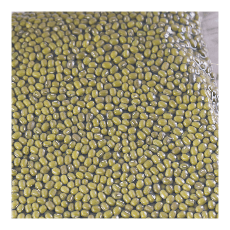 Organic Mung Beans, 16.01 oz USDA 5