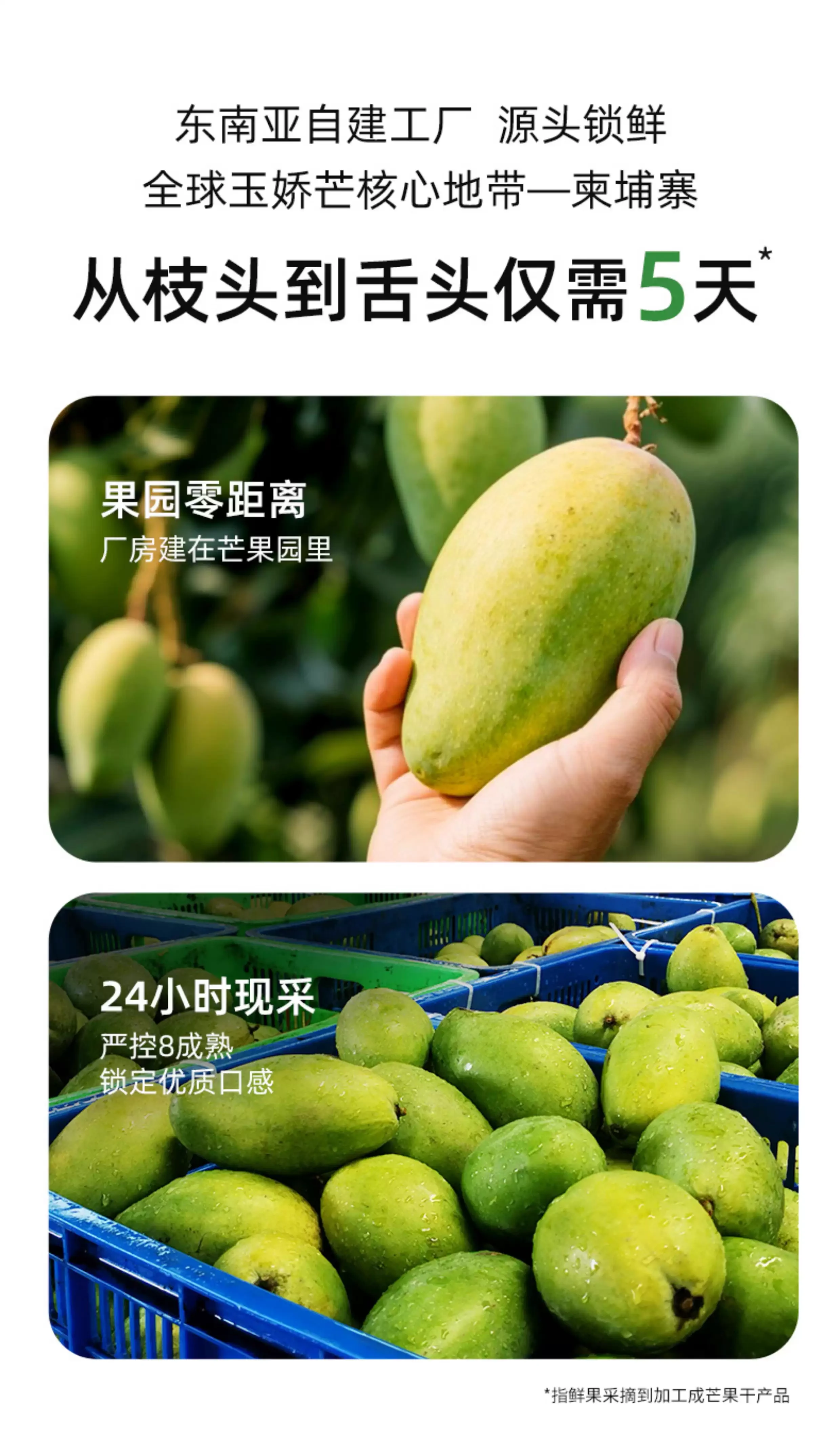 【中國直郵】 泰芒了 海鹽檸檬芒果乾獨立小包裝厚切果脯蜜餞15g*6袋