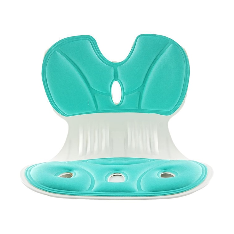 Lumbar Support Cushion - Lake Blue 5
