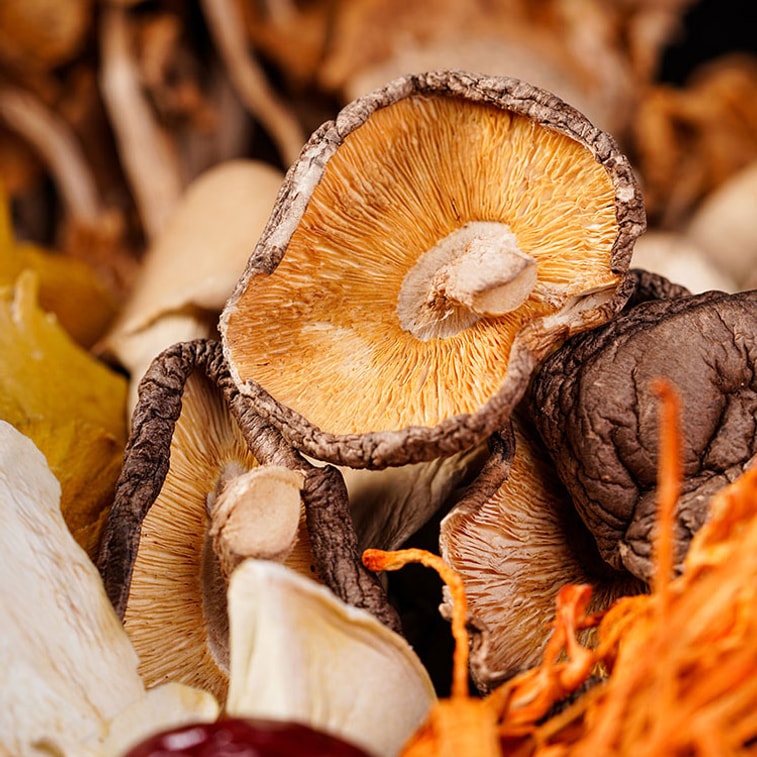  菌香傳奇 山珍十味菌湯包 雲南特產 滋補鮮湯 燉雞煲湯 4-5人食 菌菇松茸食材乾貨 8