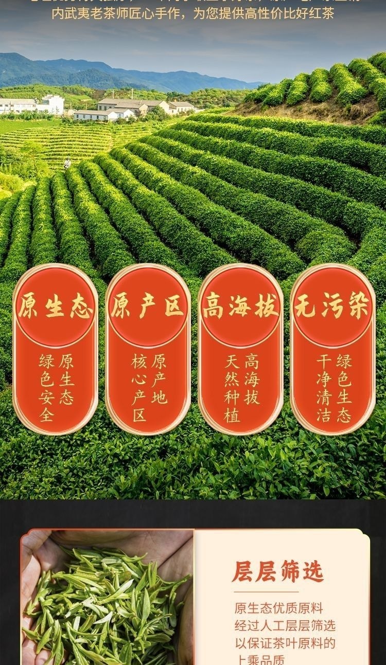  冠茗春 福建武夷山 金駿眉 特級紅茶濃香型 125g/盒