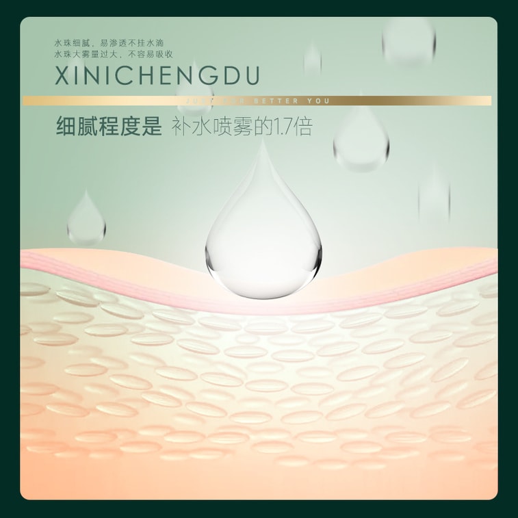 High Pressure Handheld Oxygen Injection Device, Nano Spray Facial Hydrator Portable Home Steamer 1 Unit 6