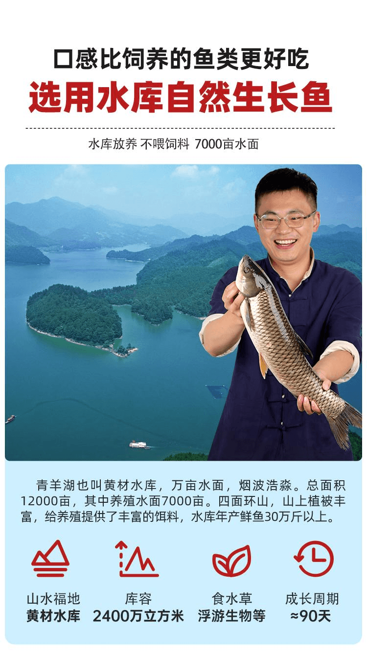 【中国直邮】 小味儿 湖南特产下饭菜农家即食辣椒酱鱼块香辣鱼排280g*1瓶