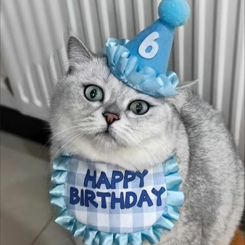 Fancy Jasmine 宠物生日帽围兜猫咪生日快乐套装可爱道具组合装扮饰品围脖口水巾 蓝色套装 1件