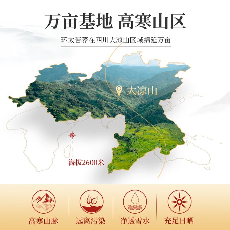 【중국 직배송】 환태 쓴 메밀 환태 검은 쓴 메밀 모래 금 차 쓰촨 대량산 특산품 메밀 건강 차 추석 선물 세트 60g*2개 5