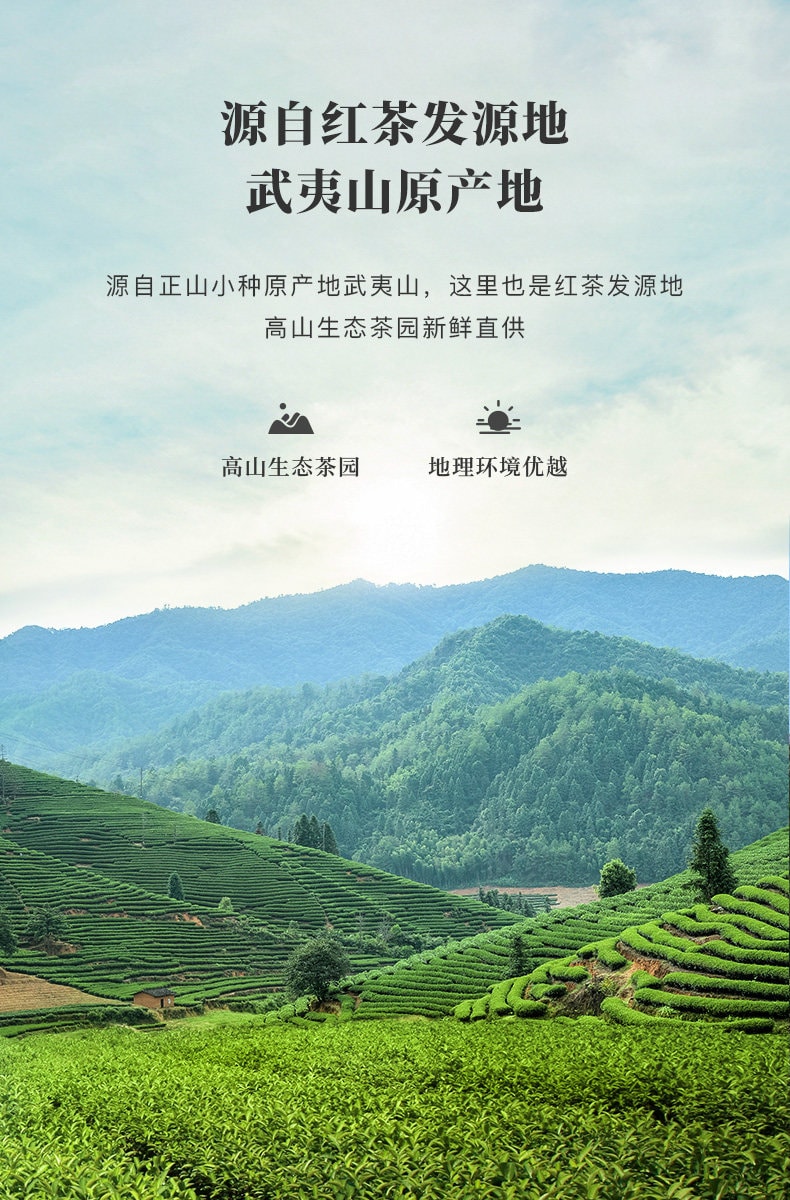 中国直邮】 八馬茶業 武夷紅茶 正山小種 食用茶 大容量 自宅用 茶葉