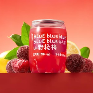 Mini Fruit Juice Sparkling Water, Wild Bayberry Flavor, 6.76 fl oz【Low Calories Low Sugar】