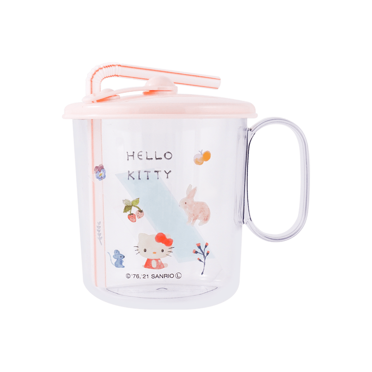 Sanrio Double Wall Straw Cup – GoodChoyice