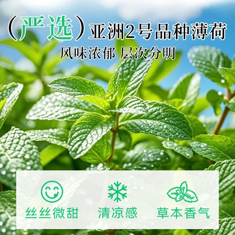 Flower Mint Flavored Syrup, Fruit Syrup, Milk Green Tea, Coffee, Milk Tea, Cake, Cocktail, Mojito, Sparkling Water 250g*1 Bottle 5