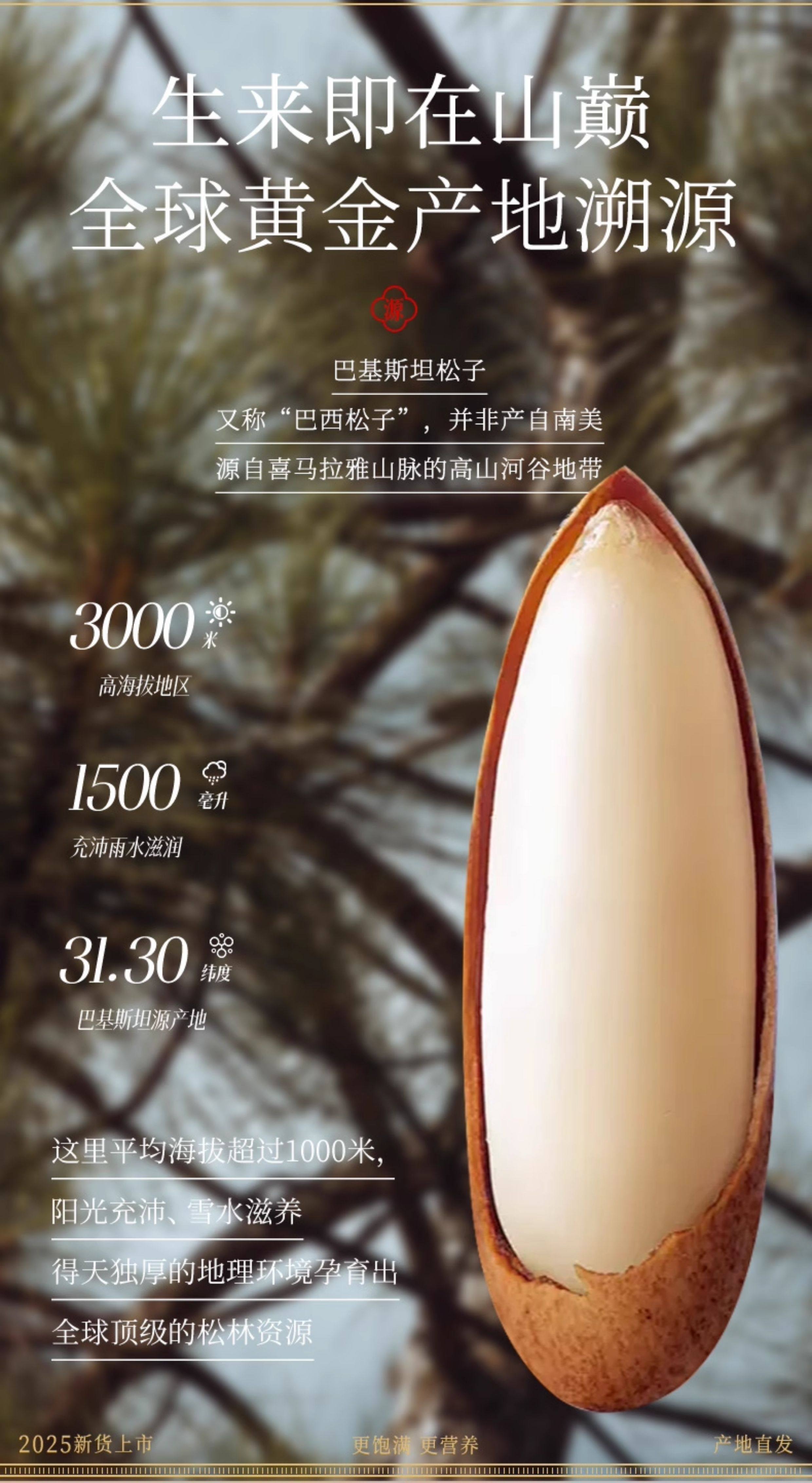【中国直邮】 春江月 进口巴西松子 特级特大颗粒 500g 阿富汗高山雪松手剥松子 新货坚果炒货零食 松籽干果年货【清香松仁 饱满香脆 原滋原 ...
