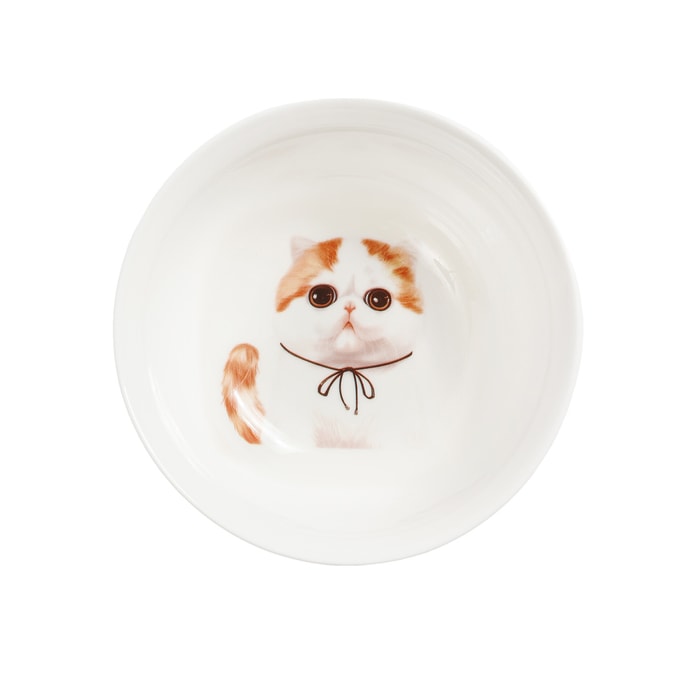 Petorama Pet Portrait Porcelain Bowl - Exotic Shorthair