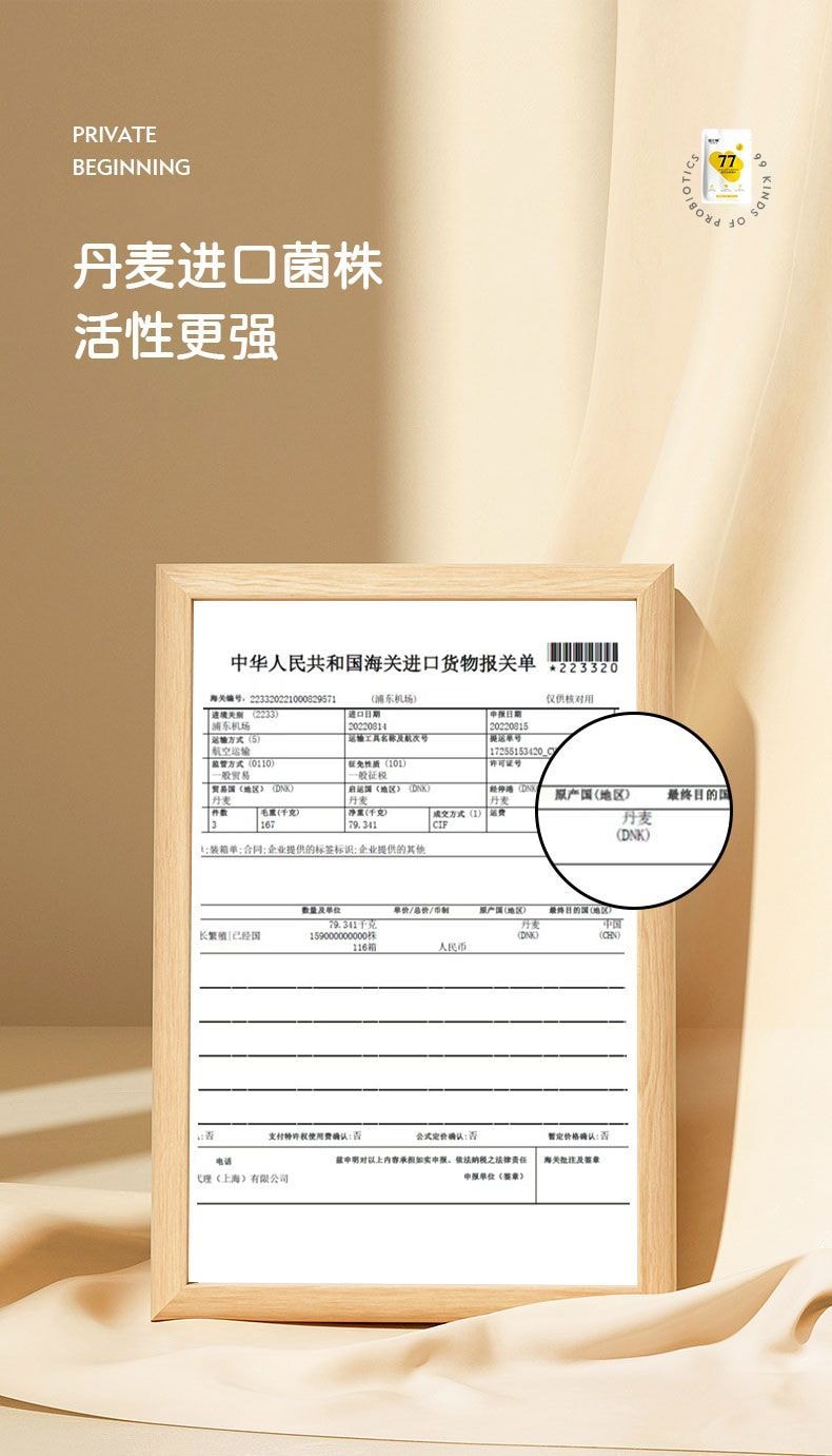 77 Fungi Homemade Yogurt Fermentation Powder Probiotics Yogurt Starter 10 Billion Live Bacteria [10 Packs Inside] 10g*per Bag