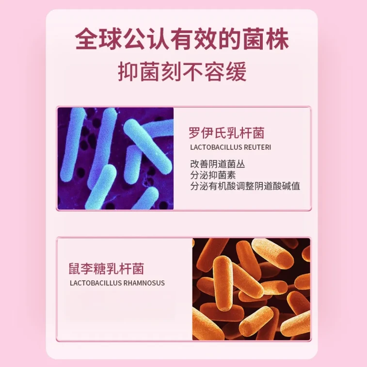 Active Lactobacillus Antibacterial Powder 0.3g×8 Capsules – 24 Billion Probiotics for Vaginal Flora Balance & Intimate Health 4