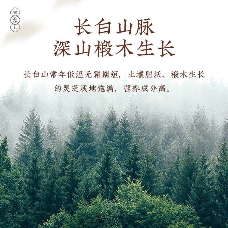 Changbai Mountain Wild-Simulated Tilia Wood Ganoderma Slices 50g – 16cm Large Slices, Northeast Specialty, Distinct Growth Rings, Brew as Tea, Supports Qi & Calms Mind, Relieves Cough & Wheezing 4