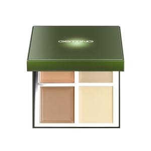SILKY GINSENG CONCEALER 10g