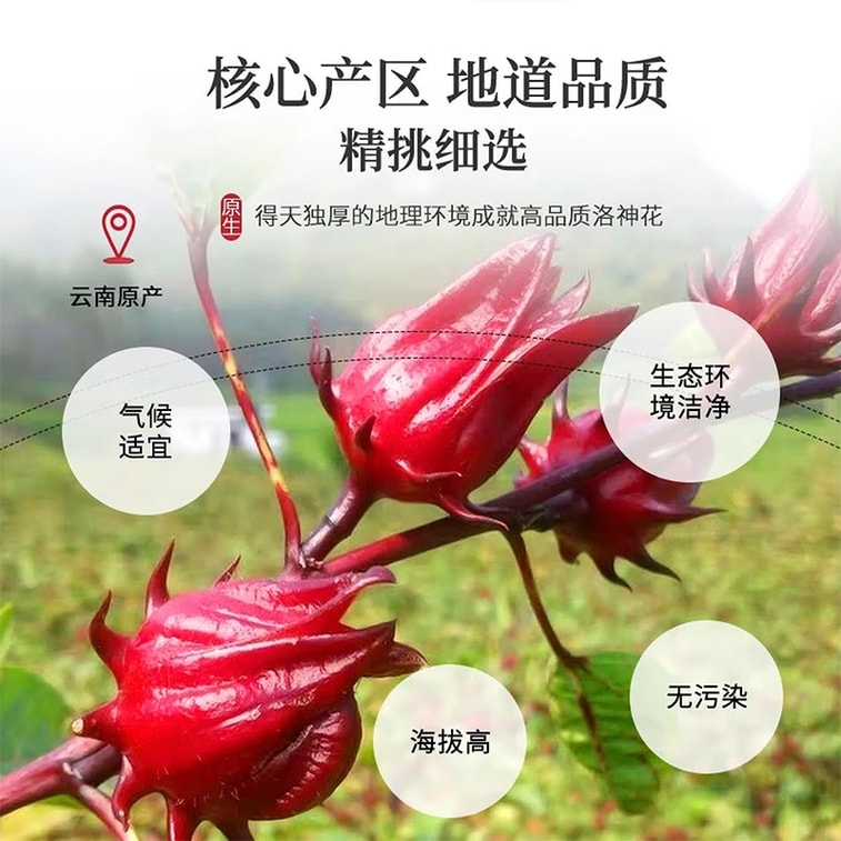 南京同仁堂云南高海拔特级花萼洛神花40g 朵大饱满、干净无沙玫瑰茄花草茶 道地选材不熏硫养生茶【微酸清甜、口感爽滑】美容养颜茶 3