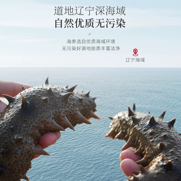 中国直送】福東海ナマコ、遼寧省大連深海ナマコギフトボックス、200g