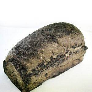 面包公爵黑帝斯1个