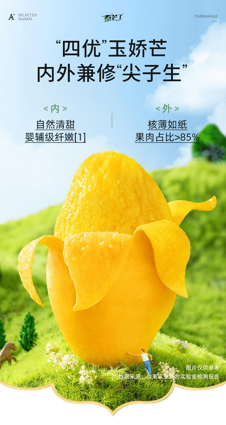 【中国直邮】 泰芒了 芒果干轻甜芒果条休闲蜜饯70g*2袋