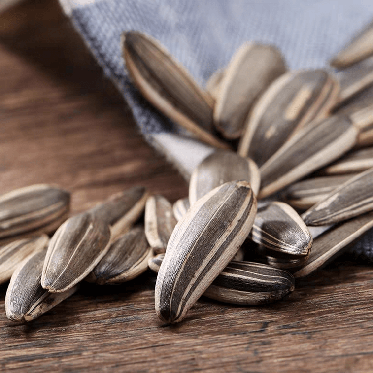 【Jackson Wang Favorite】Coconut Flavor Roasted Sunflower Seeds - Healthy Snack, 8.82 oz 8