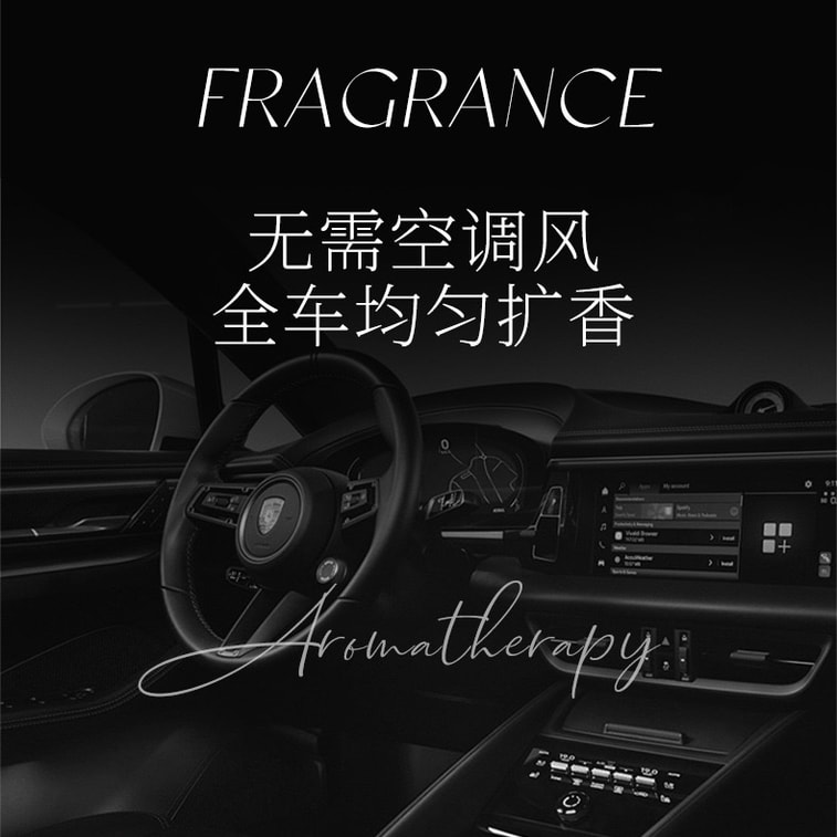 Car Air Freshener High Mountain White Tea 120 ML 7