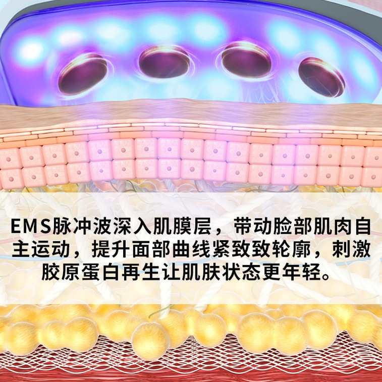 Small V Face Plastic Instrument Black 1PC 6