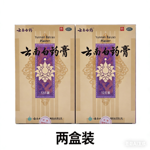 Pain Relief Plaster Patches for Joints and Muscles 12pcs/box*2