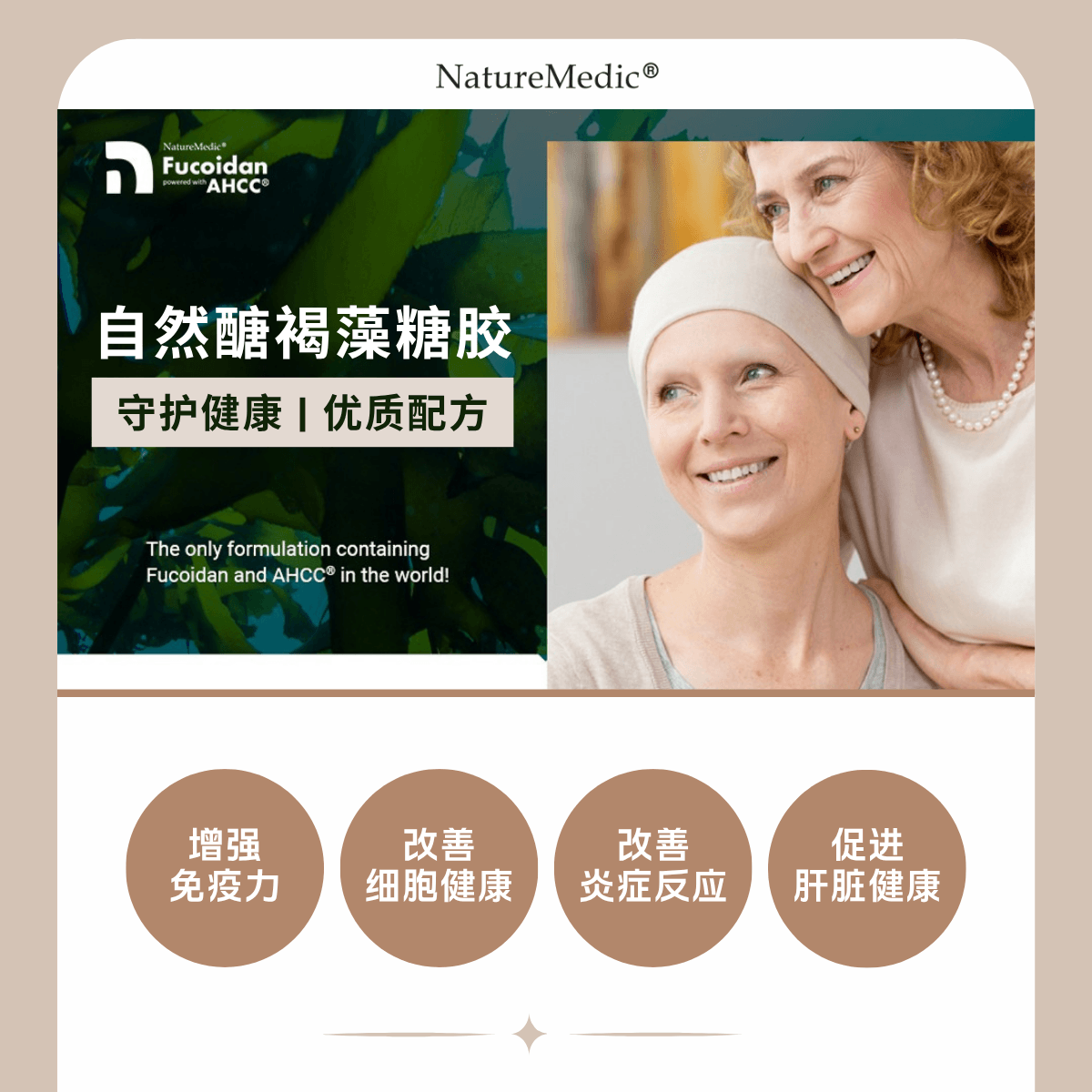  日本 自然醣 褐藻糖胶AHCC® 每瓶160颗​ 天然免疫支持 两种褐藻糖胶与AHCC®完美结合 用于肝脏保护与免疫辅助 减少肝发炎反应 全面提升免疫力