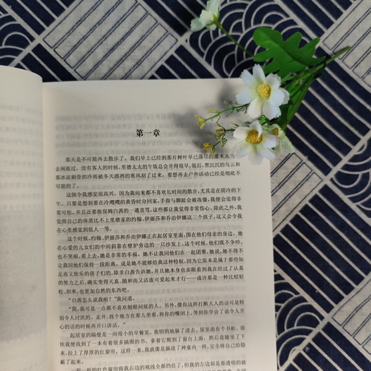 简爱/中小学生必读丛书-教育部推荐新课标同步课外阅读 4