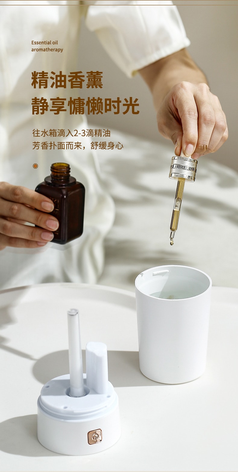 迷你便携大雾量香薰家用桌面卧室车用车载加湿器 1 把