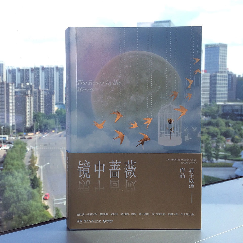 镜中蔷薇 - Yami