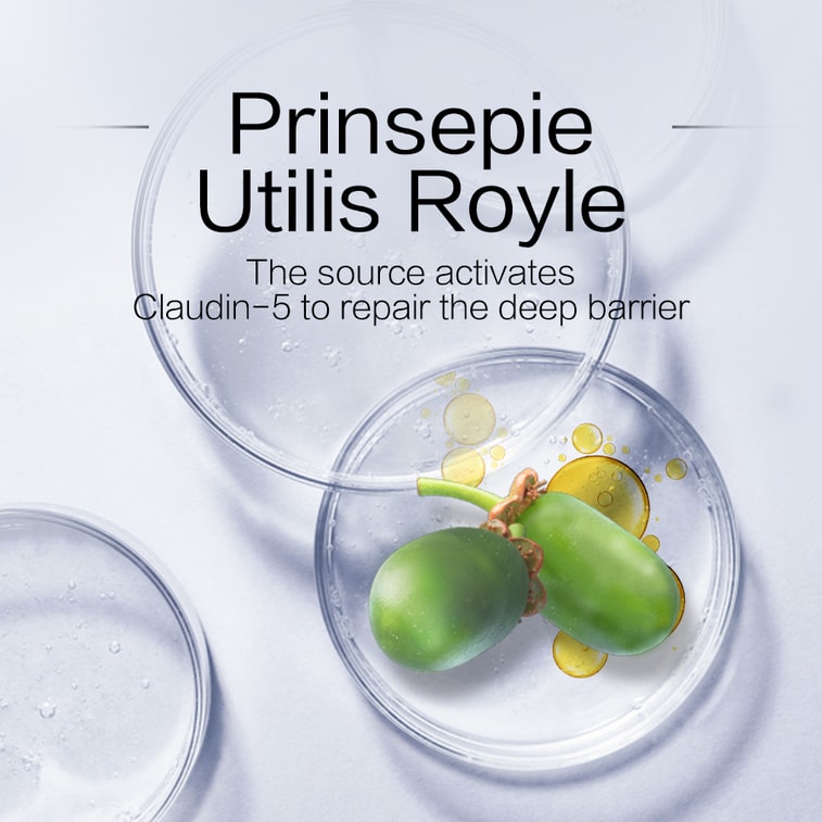 [GIFT] Aqua-Shield Sunblock Milk SPF48PA+++15g  Sensitive Skin Hydration Moisturizing Repair Barrier Soothing Nourishing  3