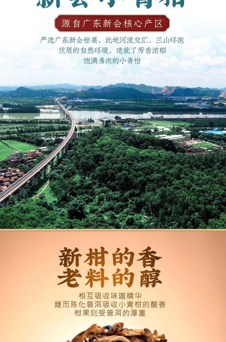 福茗源 小青柑普洱茶-黑色匠心心韵系列 16粒茶+茶具5件套