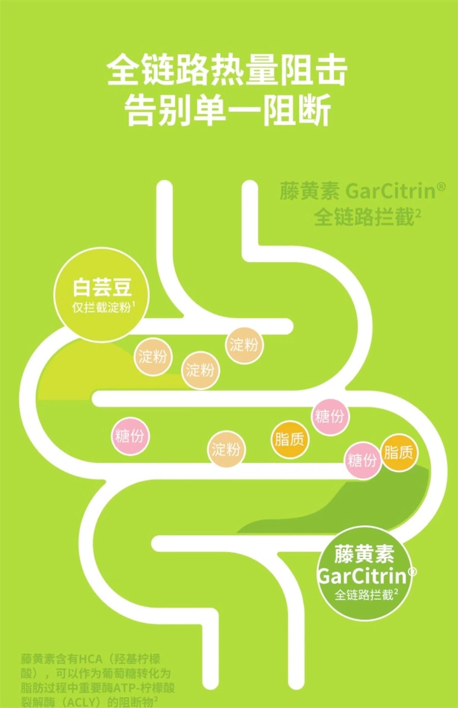 【中國直郵】 日本 UNOMI 燃藤黃素果熱控片 酵素碳水油阻斷劑片膳食纖維非白芸豆 20包/盒