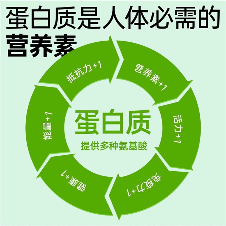 Whey Protein Powder Animal Plant Dual Protein Protein Powder Protein Nutrition Powder 455g/can 3