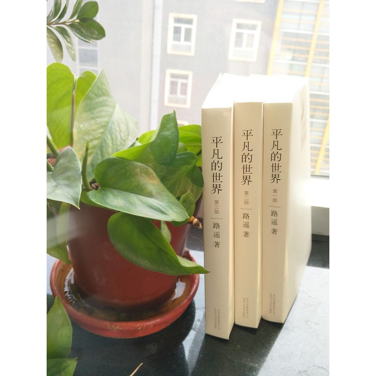 平凡的世界（套装共3册） 4