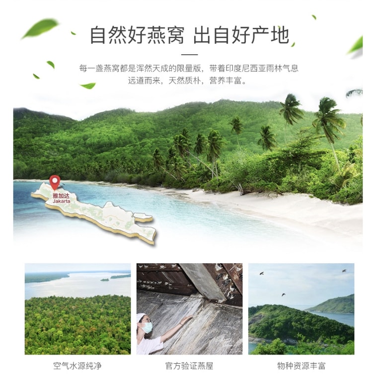 美国 汇丰行 6A印度尼西亚天然燕窝官燕盏 8oz(225克) 9