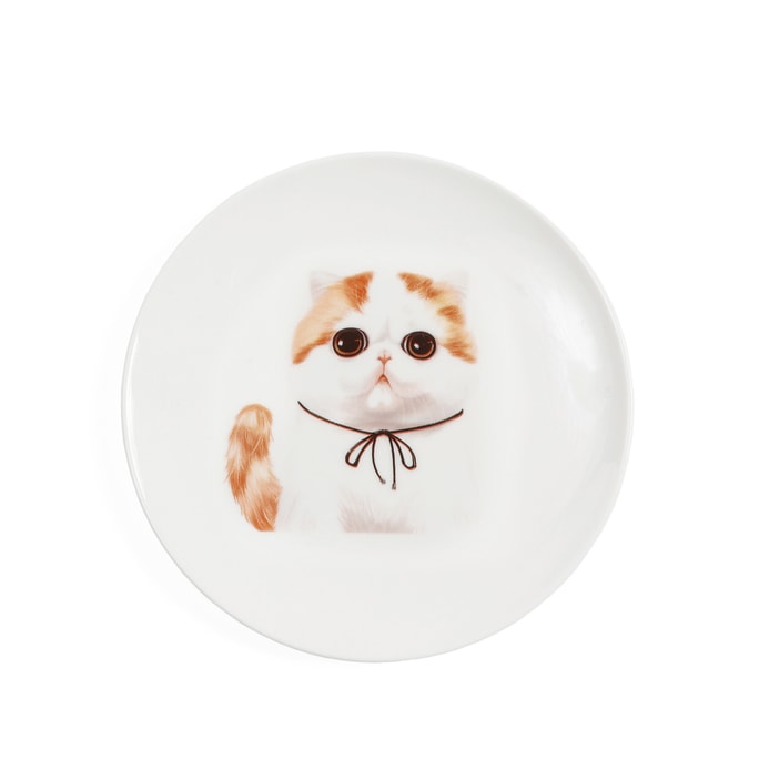 Petorama Pet Portrait Porcelain Middle Print 6” Plate - Exotic Shorthair