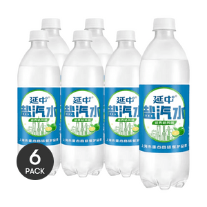Salty Citrus Soda Soft Drink 20.29 fl oz *6【6 Packs】