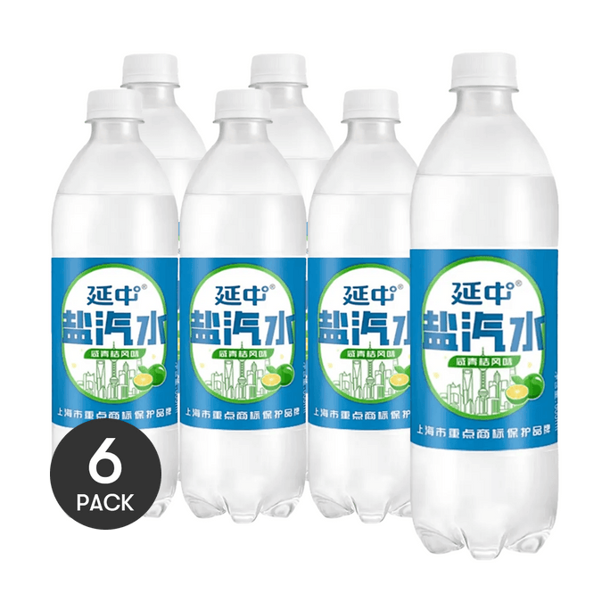 延中 鹽汽水 鹹青桔風味 600ml *6【6份超值裝】【清爽消暑 補充鹽分】【愛情公寓經典語錄】