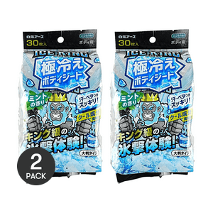 日本HAKUGEN白元 EARTHICE KING 極冷身體濕紙巾 薄荷 30面 *2【2份超值裝】